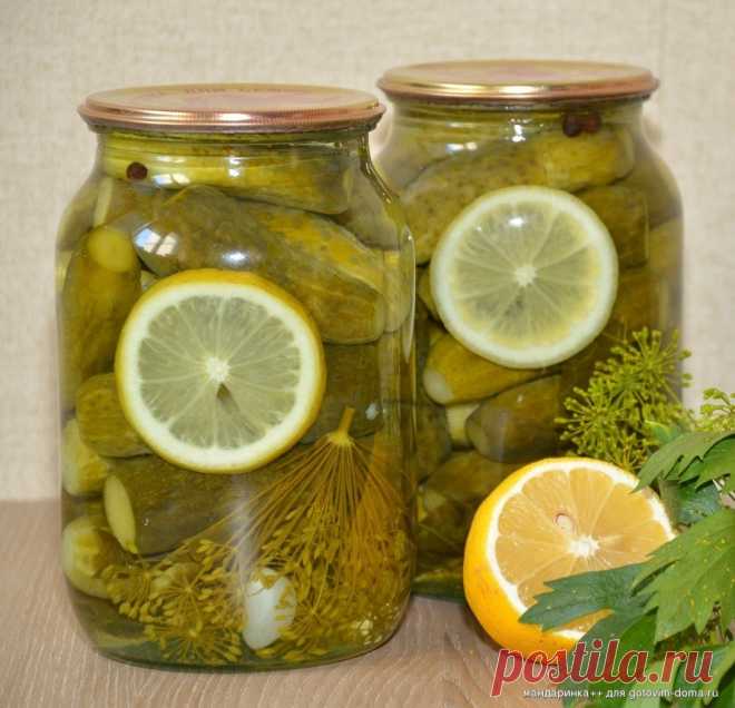 ОЧЕНЬ,ОЧЕНЬ ВКУСНЫЕ ОГУРЧИКИ  
