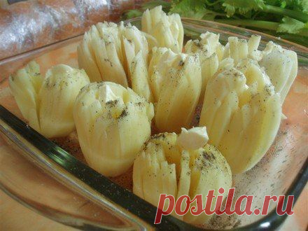 КАРТОФЕЛЬ 