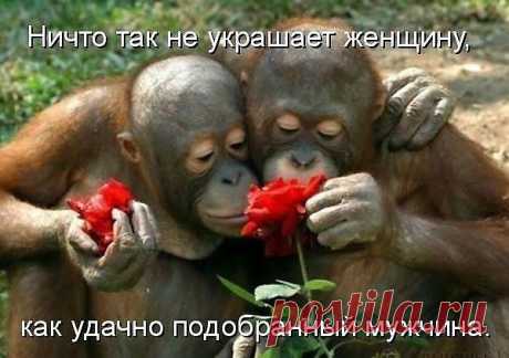 У нас любовь ! А у вас..?