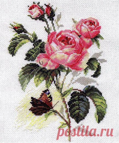 "РОЗА И БАБОЧКА" - ВЫШИВКА КРЕСТИКОМ | Варварушка-Рукодельница