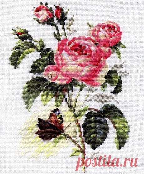 &quot;РОЗА И БАБОЧКА&quot; - ВЫШИВКА КРЕСТИКОМ | Варварушка-Рукодельница