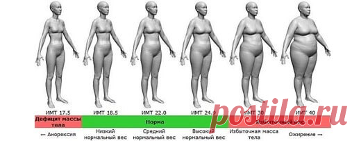 Как эффективно избавиться от висцерального жира