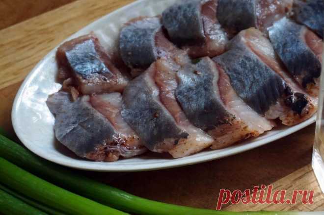 Открыла для себя новый способ посола селедки. Солю теперь в соевом соусе | Вкусно и полезно | Яндекс Дзен