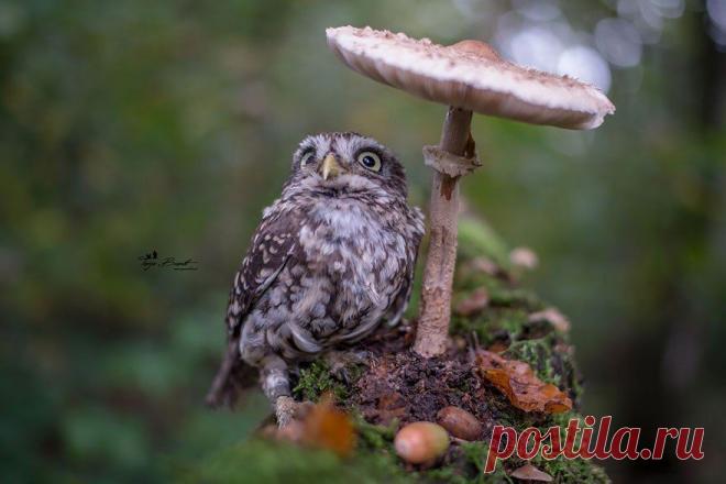 Лучшие фото