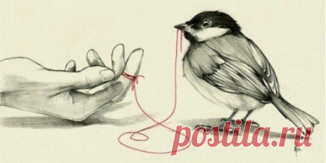 Мария Шубина