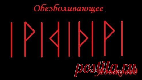 Языковед