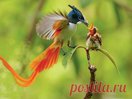 Мой Мир@Mail.Ru
