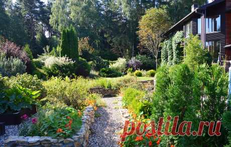 Десять соток сада ландшафтного архитектора | Home and garden | Яндекс Дзен