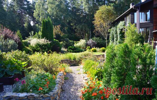 Десять соток сада ландшафтного архитектора | Home and garden | Яндекс Дзен