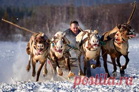 Азарт гонки. — Геннадий Субач — AdMe Photo Awards 2014