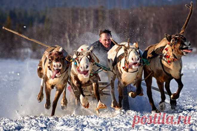 Азарт гонки. — Геннадий Субач — AdMe Photo Awards 2014