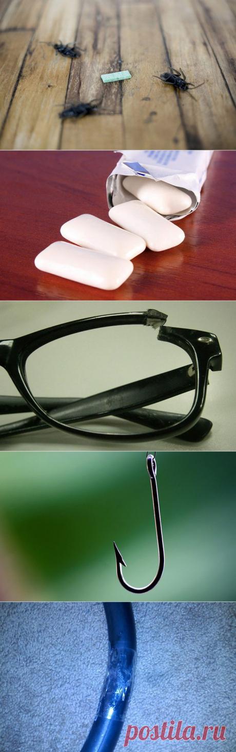 Скрытые возможности обычной жвачки / Домоседы