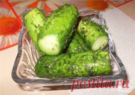 Соленые огурцы за час 
https://povar.ru/recipes/solenye_ogurcy_za_chas-12337.html

Соленые огурцы за час - пошаговый кулинарный рецепт на Повар.ру
Соленые огурцы за час - легкий и быстрый способ получить прекрасную закуску без долгого маринования. Вам понадобится зелень, соль, пакет и, конечно, сами огурцы. Читайте рецепт - не пожалеете! ;)