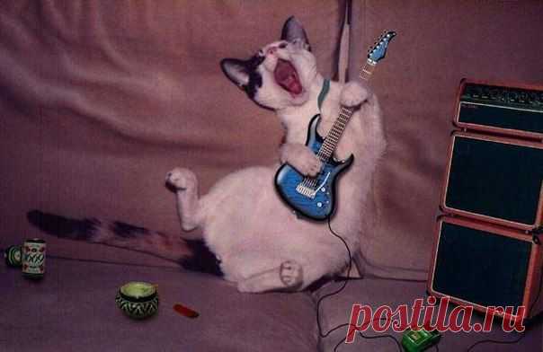 Мой Мир@Mail.Ru