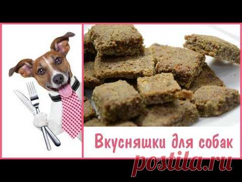 ВКУСНЯШКИ ДЛЯ СОБАК СВОИМИ РУКАМИ |  ГОТОВИМ СОБАЧЬИ ЛАКОМСТВА В ДОМАШНИХ УСЛОВИЯХ - YouTube