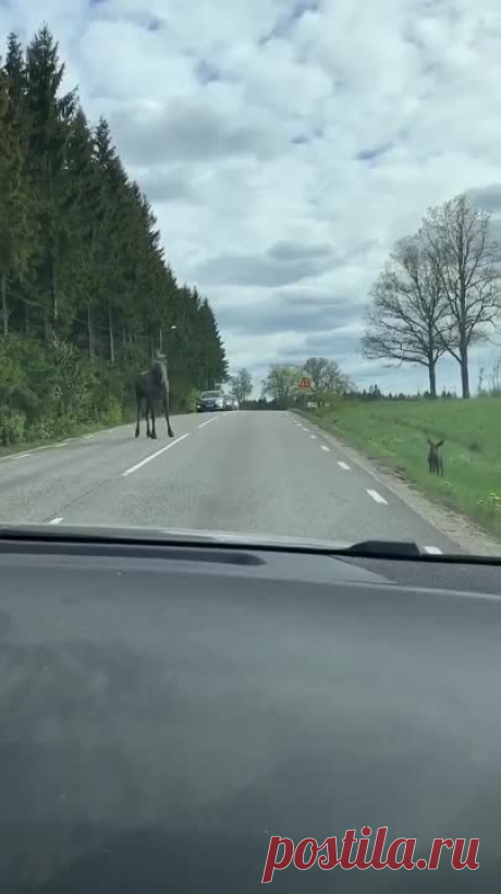 И люди ведь терпеливо ждали!..