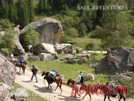 сары челек фото: 643 изображения найдено в Яндекс.Картинках