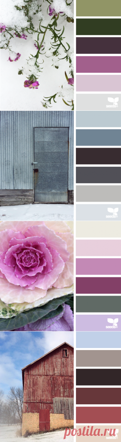 design seeds | for all who ♥ color