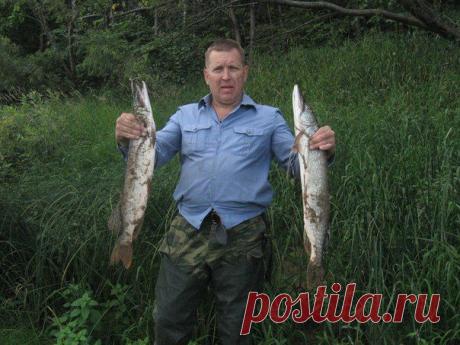 Сохранённые фотографии Сергея | 28 фотографий | ВКонтакте