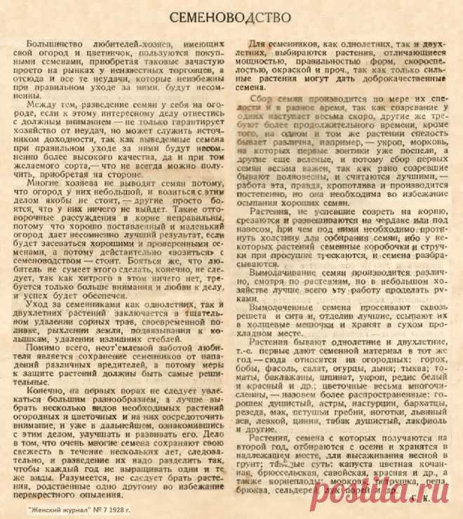 Семеноводство