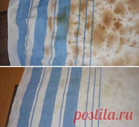 Жена давно не покупает кухонные полотенца. 3 минуты и они чистые и пахнуть свежестью. Попросил показать её простой способ | Своими руками | Яндекс Дзен