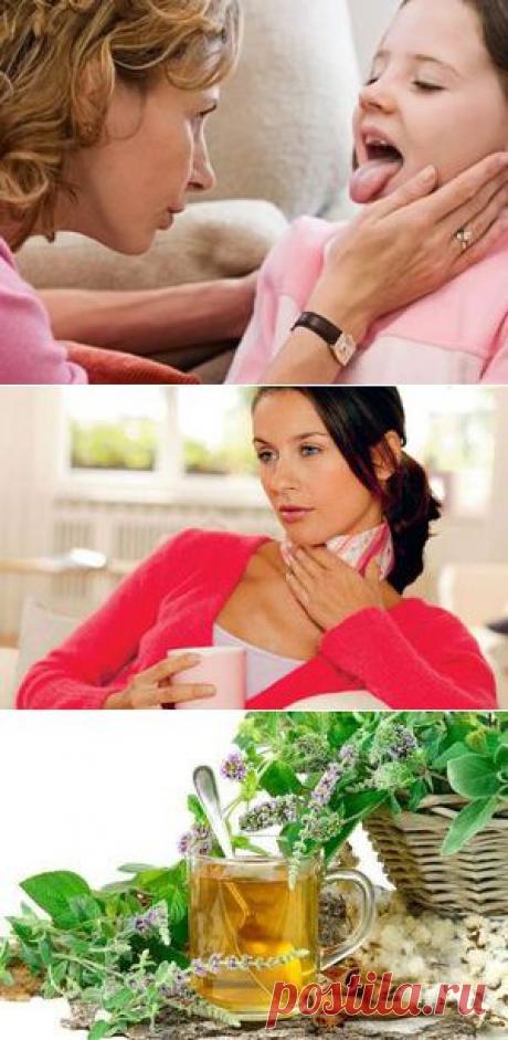 Народные средства от ангины.