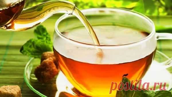 Какой чай самый полезный | Великий чайный путь