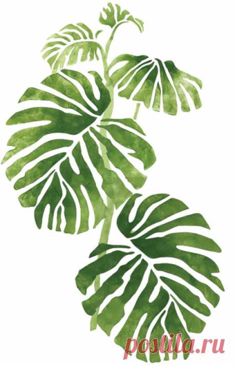 Wall Mural Stencils | Accent Stencils | Rainforest & Jungle Philodendron 1 - Stencilease.com