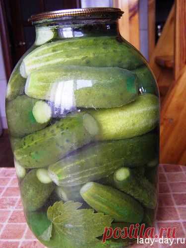 Маринованные огурцы на зиму | Простые рецепты с фото