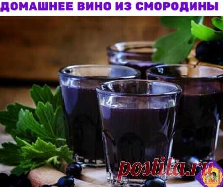 Домашнее вино из черной смородины
Ингредиенты
Смородина — 3 кг
Вода — 5 л
Сахар — 2 кг
Приготовление
Первый этап — подготовить сырье. Мыть смородину нельзя, иначе можно случайно удалить природные дрожжи и сусло не забродит. Просто переберите ягоды, удаляя порченые, а затем тщательно передавите смородину руками или скалкой.
Растворите 1,5 кг сахара в воде и залейте смородину жидкостью. Для брожения выбирайте емкость побольше, так как она не должна быть заполнена более, чем на две трети. Когда