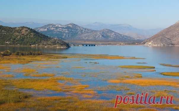 Momir Matkovic - Momir Matkovics Fotos | Facebook