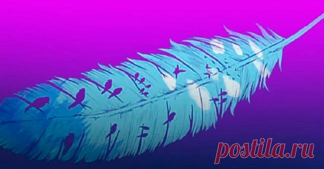 Тест: То, что вы увидите на этом изображении, раскроет ваш скрытый потенциал - Перо