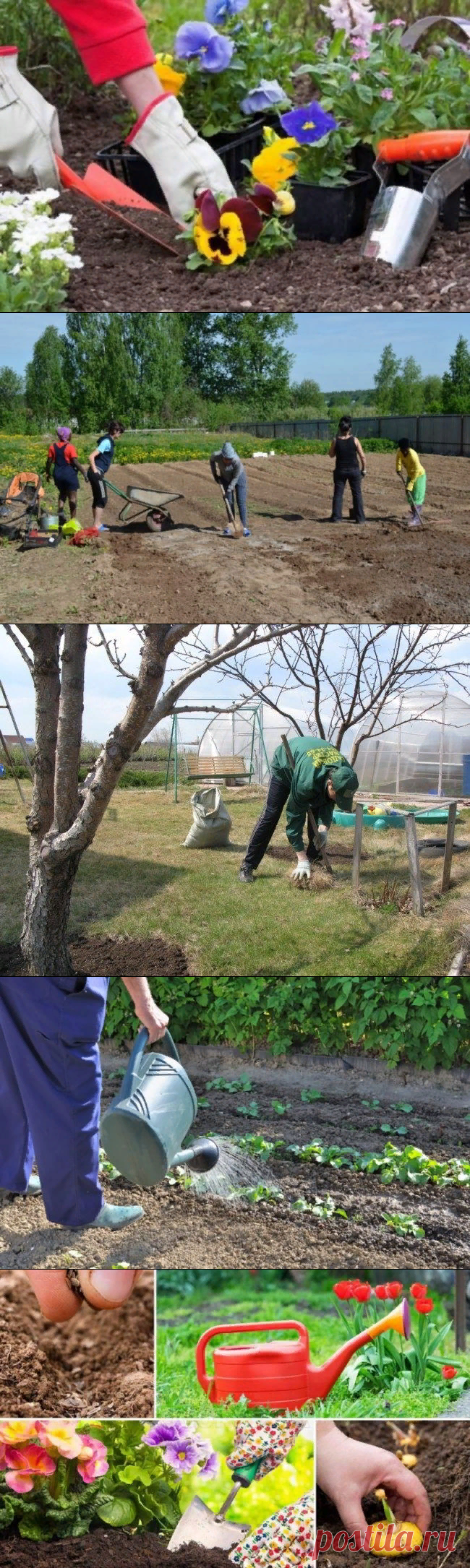 Лунный посевной календарь на апрель 2019 года садовода и огородника таблица
