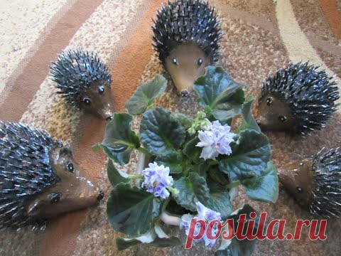 Ёжики