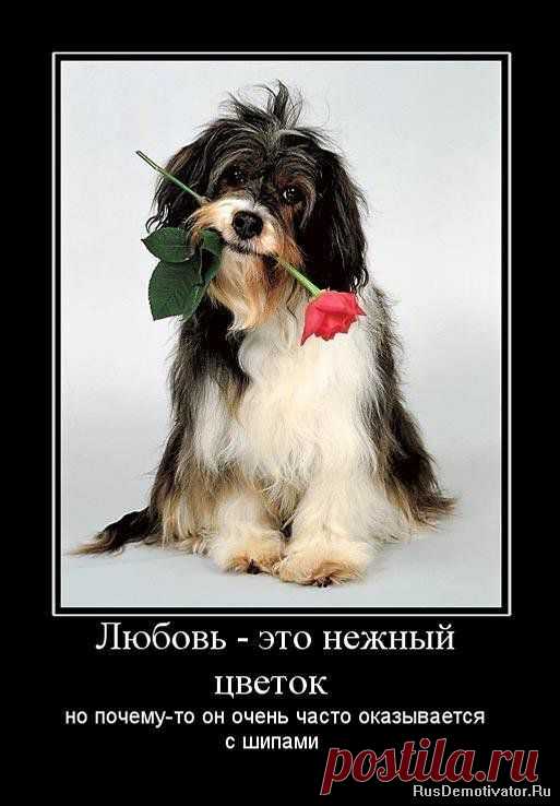 Любовь.