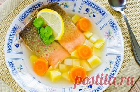 Тонкости вкусной ухи | Ваши любимые рецепты
