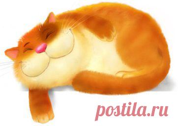 Спящие коты