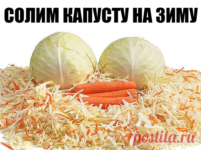 СОЛИМ КАПУСТУ НА ЗИМУ
 7 лучших рецептов.

Самой вкусной и хрустящей капуста получается, если квасить ее на ПОЛНОЛУНИЕ, а также НА РАСТУЩУЮ и ПРИБЫВАЮЩУЮ луну.
Это 6-й, 7-й, 13-й, 14-й, 15-й и 16-й лунные дни ноября.

Засолка капусты в 3-литровых банках.

РЕЦЕПТ 1.
КАПУСТА БЫСТРОГО ПРИГОТОВЛЕНИЯ.

Нашинковать капусту тонкой соломкой или нарезать кусочками. Плотно уложить в 3-х литровую банку. Залить холодной водой, растворив в ней 2 ст.ложки соли (воды 1-1,5 л). Оставить б...