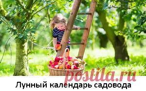 Лунный календарь садовода на март 2017 год