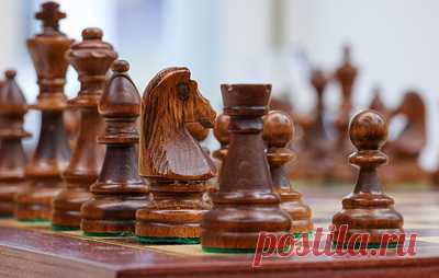 Турнир претендентов на шахматную корону пройдет в 2026 году на Кипре. Мужские и женские соревнования состоятся с 28 марта по 16 апреля