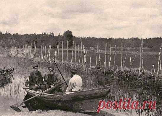 Рыболовный закол (забитые в дно водоёма колья) при впадении р. Волги в оз. Стерж. Тверская губерния, Российская империя. 1892 год. / История цивилизаций!