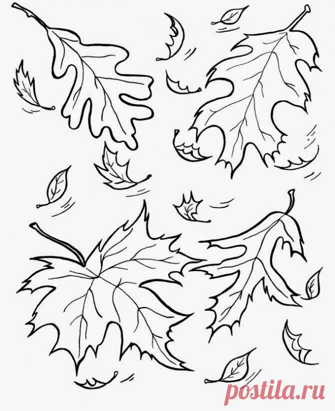 Картинки-раскраски про осень (35 фото) ⭐ Забавник