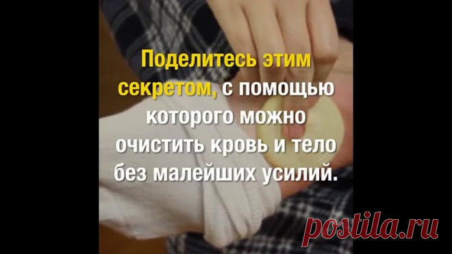 Удивительные свойства лука