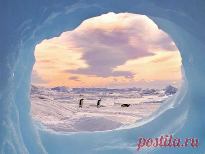 National Geographic: Лучшие снимки июля | РОЗЫ