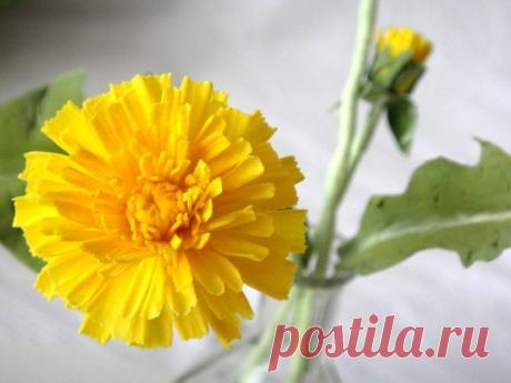 Найдено на сайте marrietta.ru.