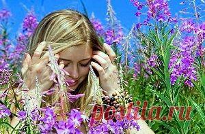 Лекарственные травы для женского здоровья