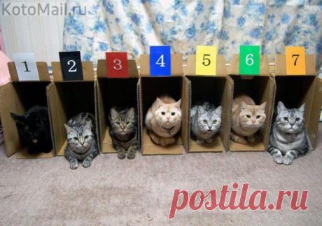 Перекличка!