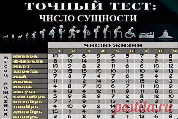 Всё самое интересное!: ЧИСЛО СУЩНОСТИ