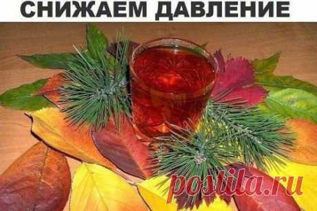 Потрясающий рецепт для снижения высокого давления. — ULANOO