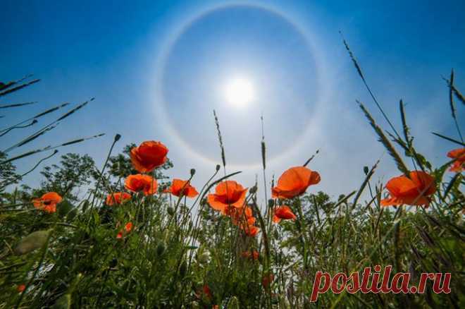 Лучшее с АdMe Photo Awards 2014 за неделю